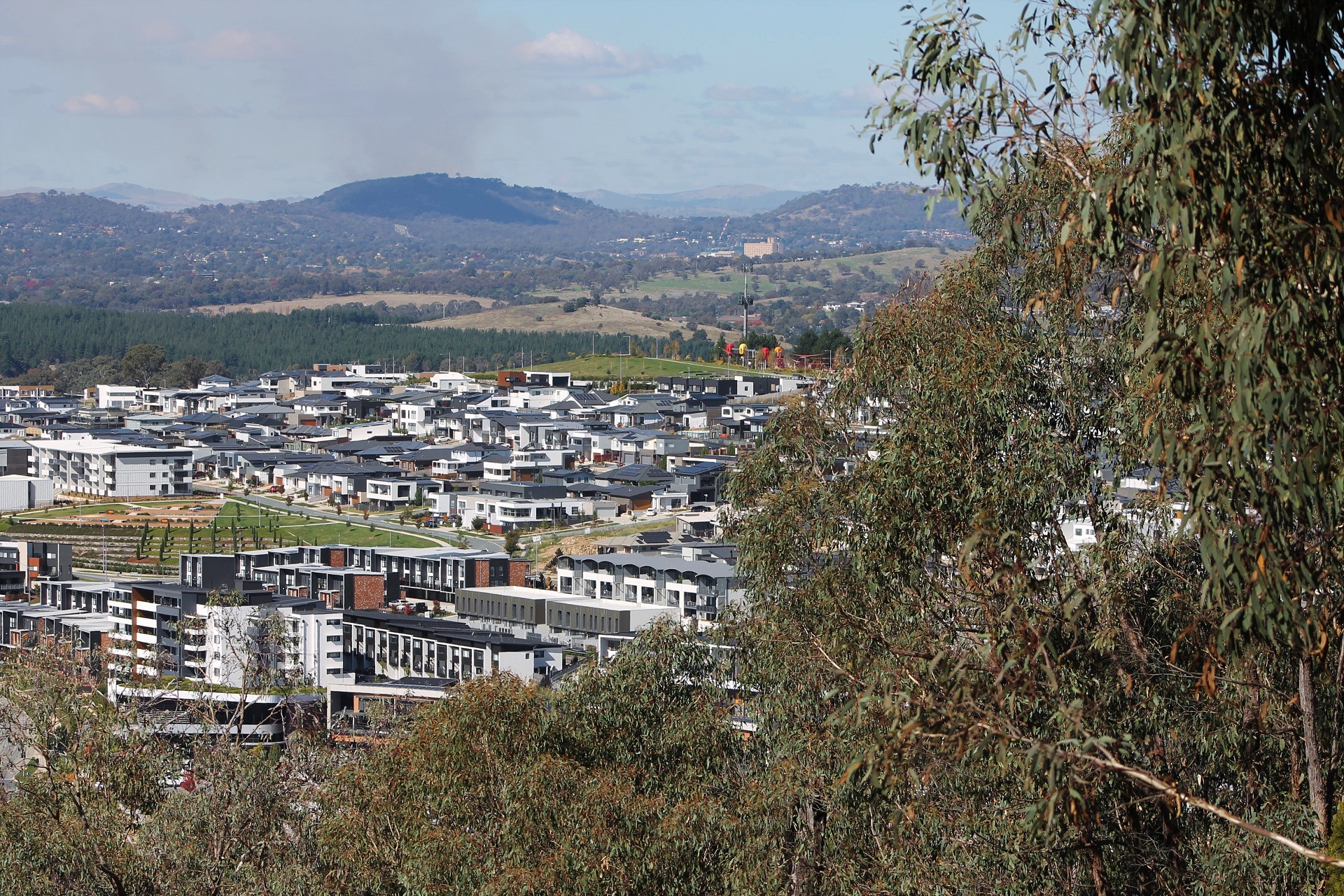 Black and white suburban buildings framed by yellow-green gum trees.