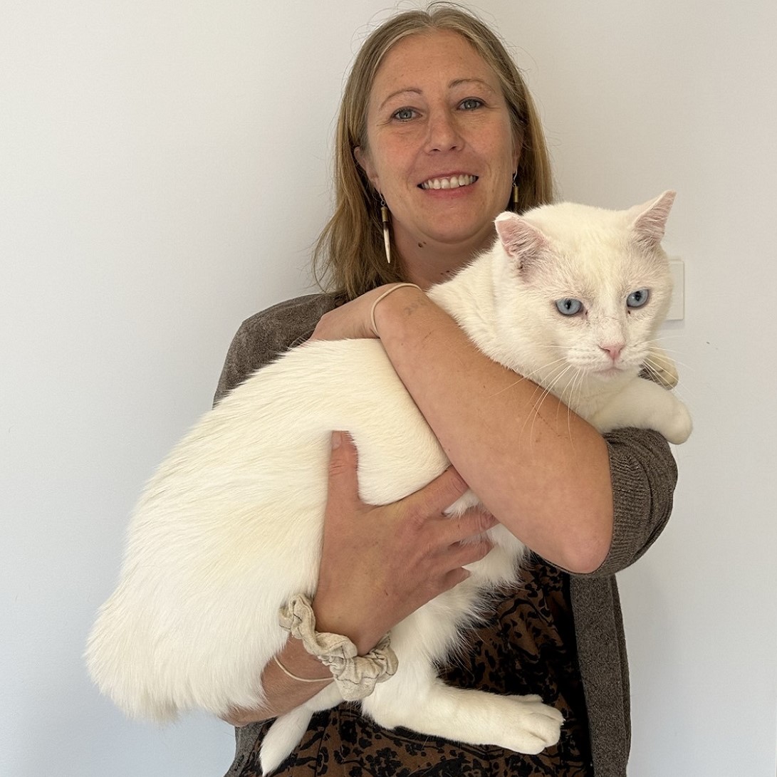 A woman holding a large white cat.