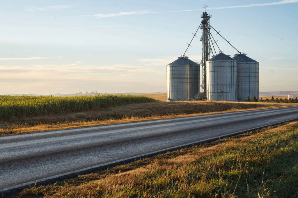 Wheat silos in a rural setting