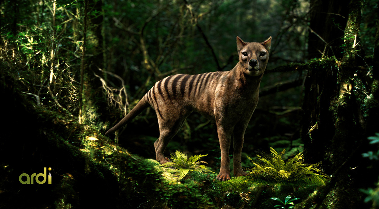An realistic illustration of a thylacine in a bushalnd setting using computer generated design techniques/