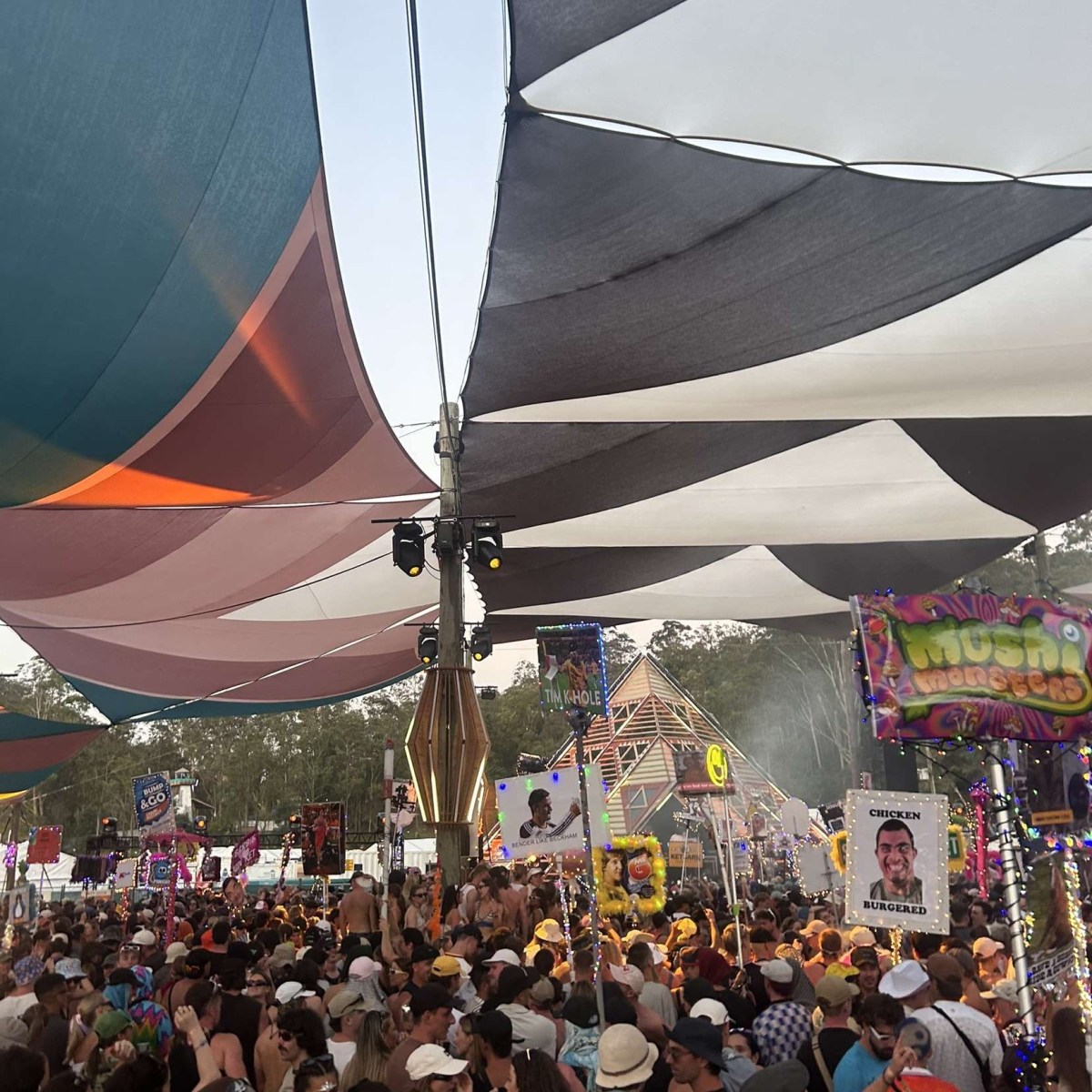Image shows a large festival crowd in a mosh pit with signs and lights.