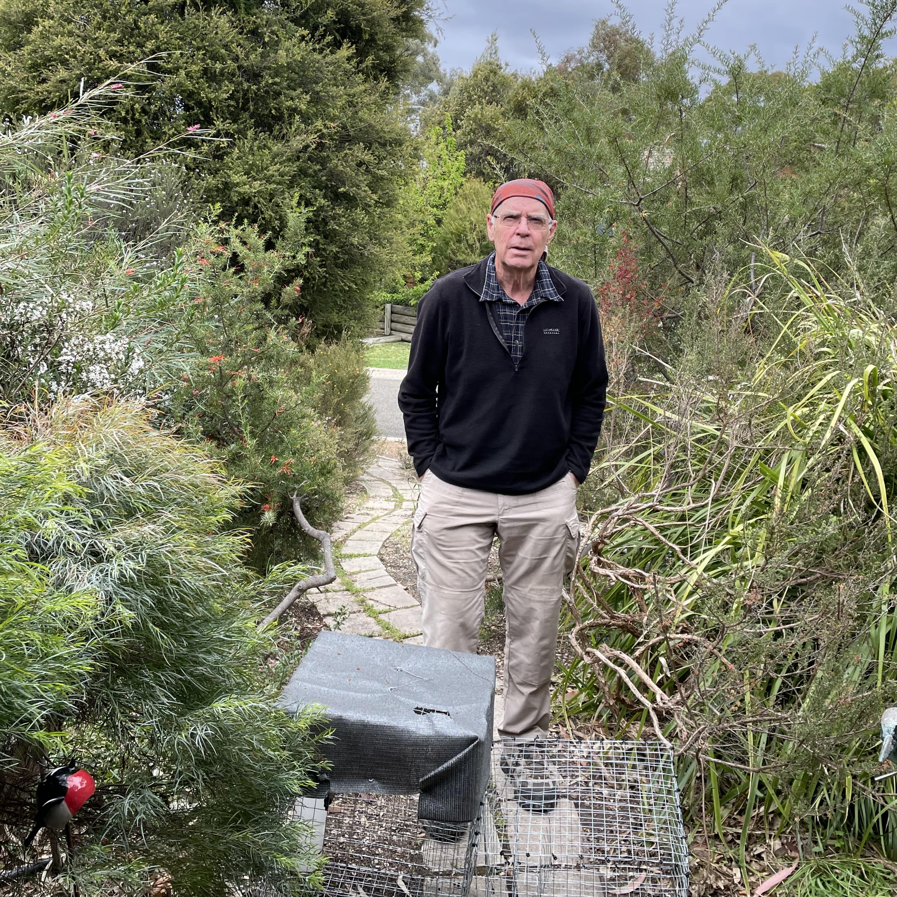 Canberra Indian Myna Action Group President Bill Handke stands in his garden with a backyard trap at his feet. He wears a black jumper and hiking pants. the trap is square and made from steel cage wire