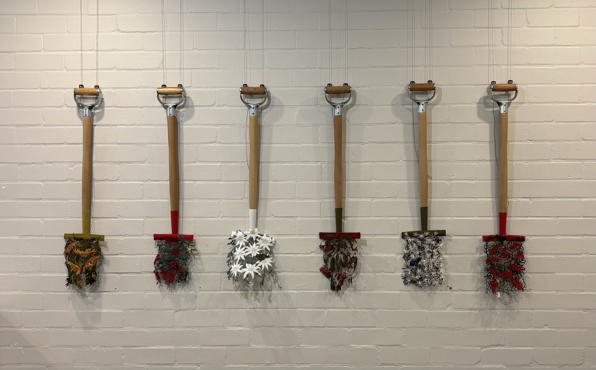 Garden Shovel Collection; Grevillea Robusta, Red Bottlebrush, Flannel Flower, Pink Flowering Gum, White Hakea, Red Grevillea