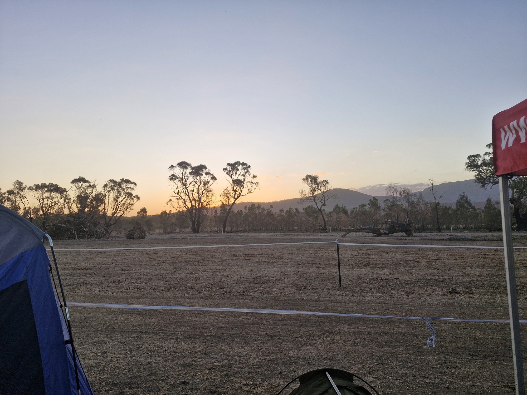 Mountain view with burnt trees