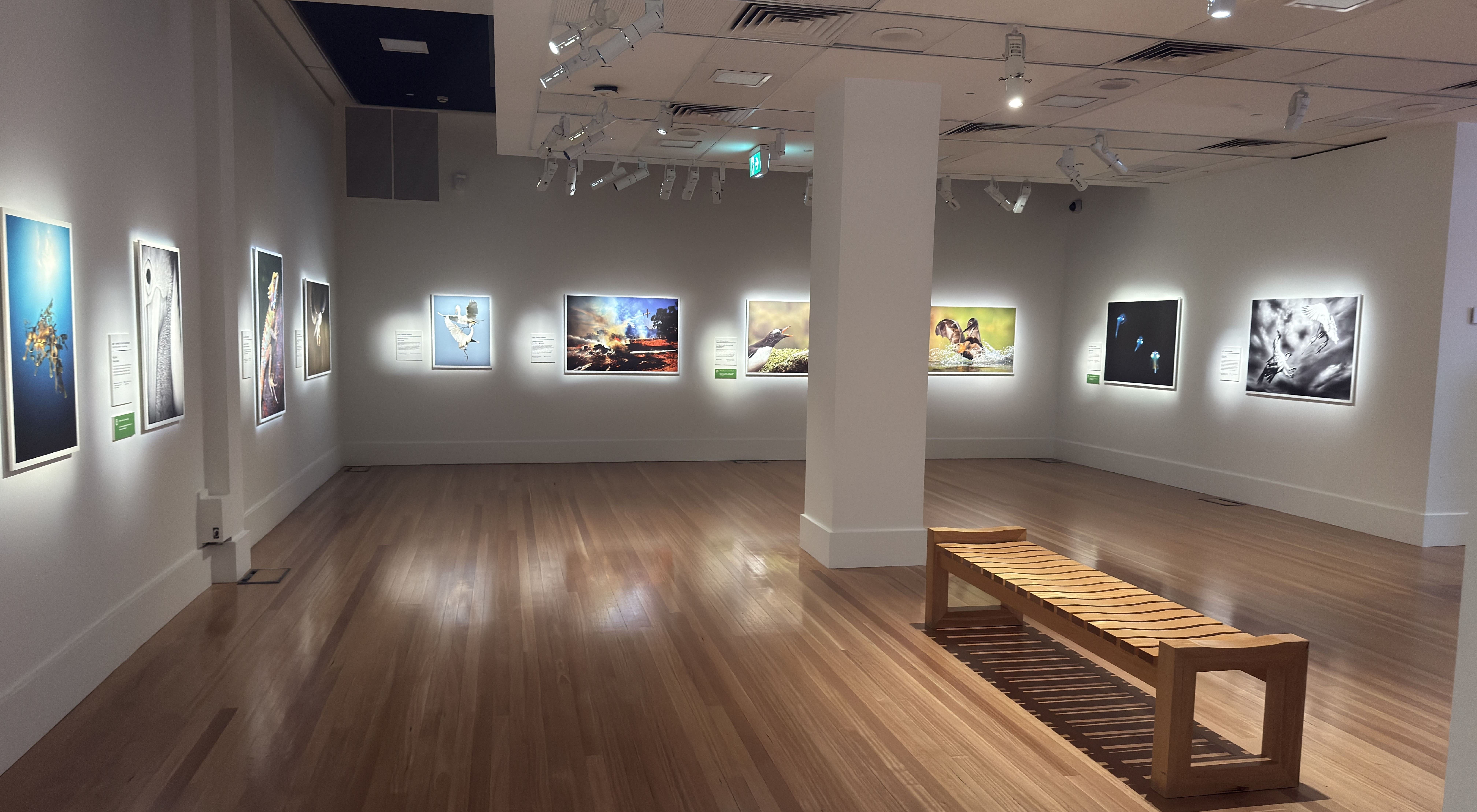 A gallery wall inside the exhibition, featuring many photographs