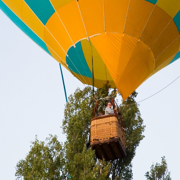 A hot air balloon with a yellow and teal design crashes into tree.