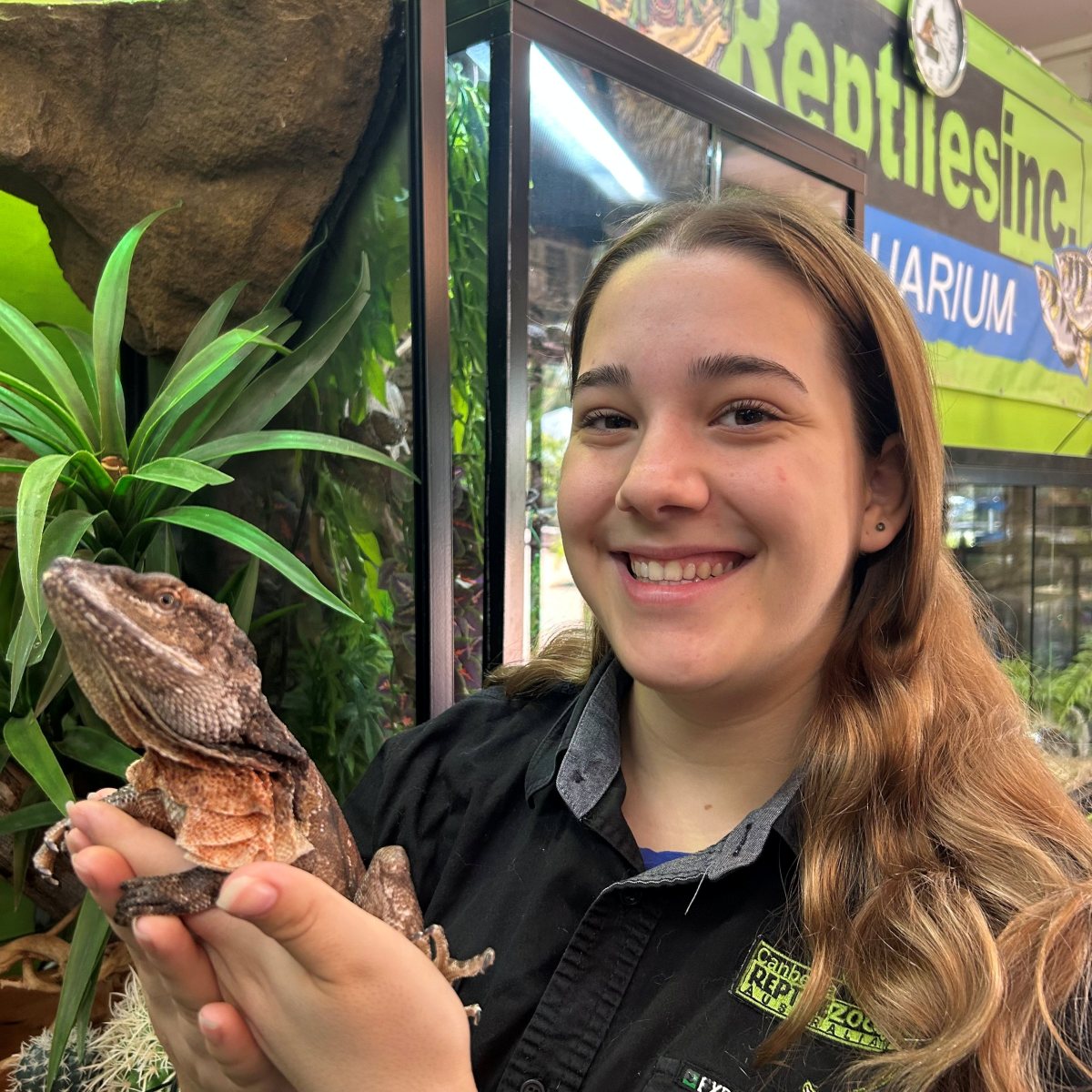 Girl holding large bearded dragon