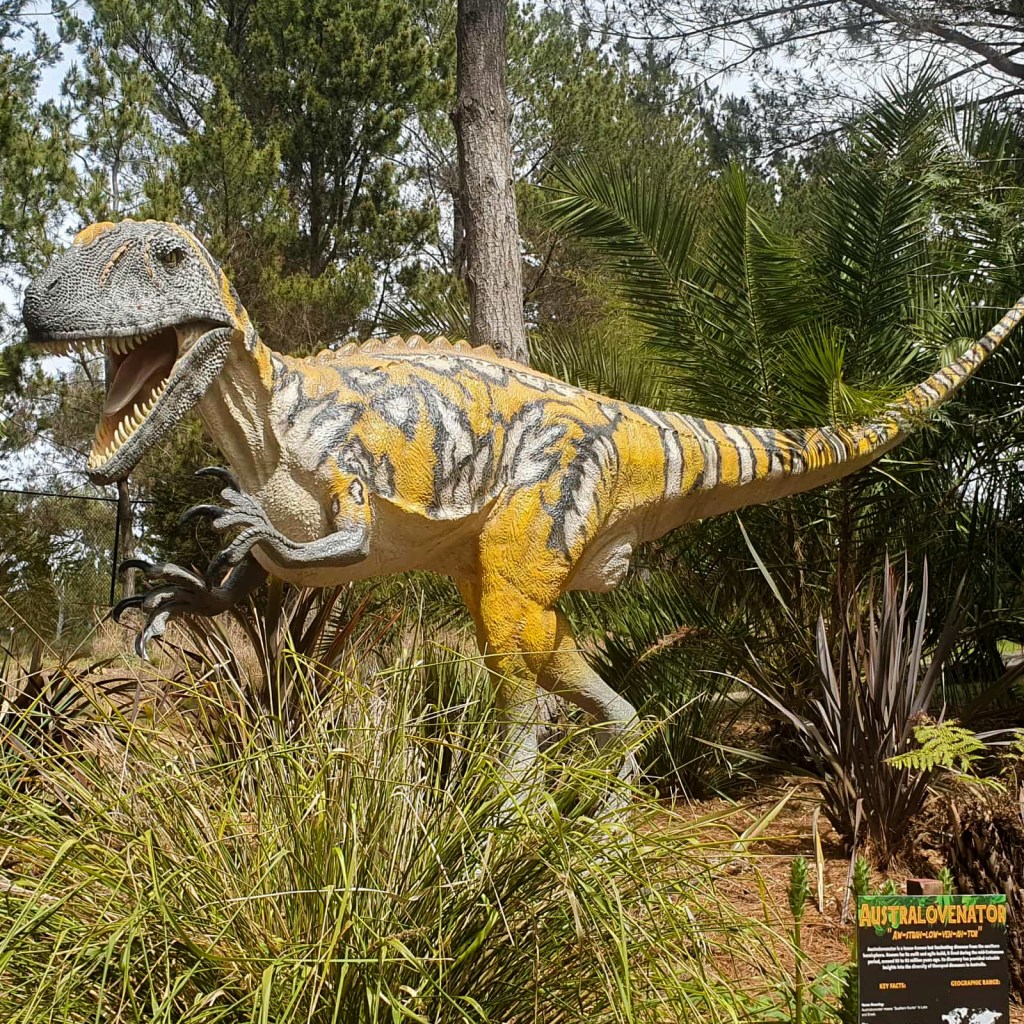 Australovenator display at the National Zoo and Aquarium.