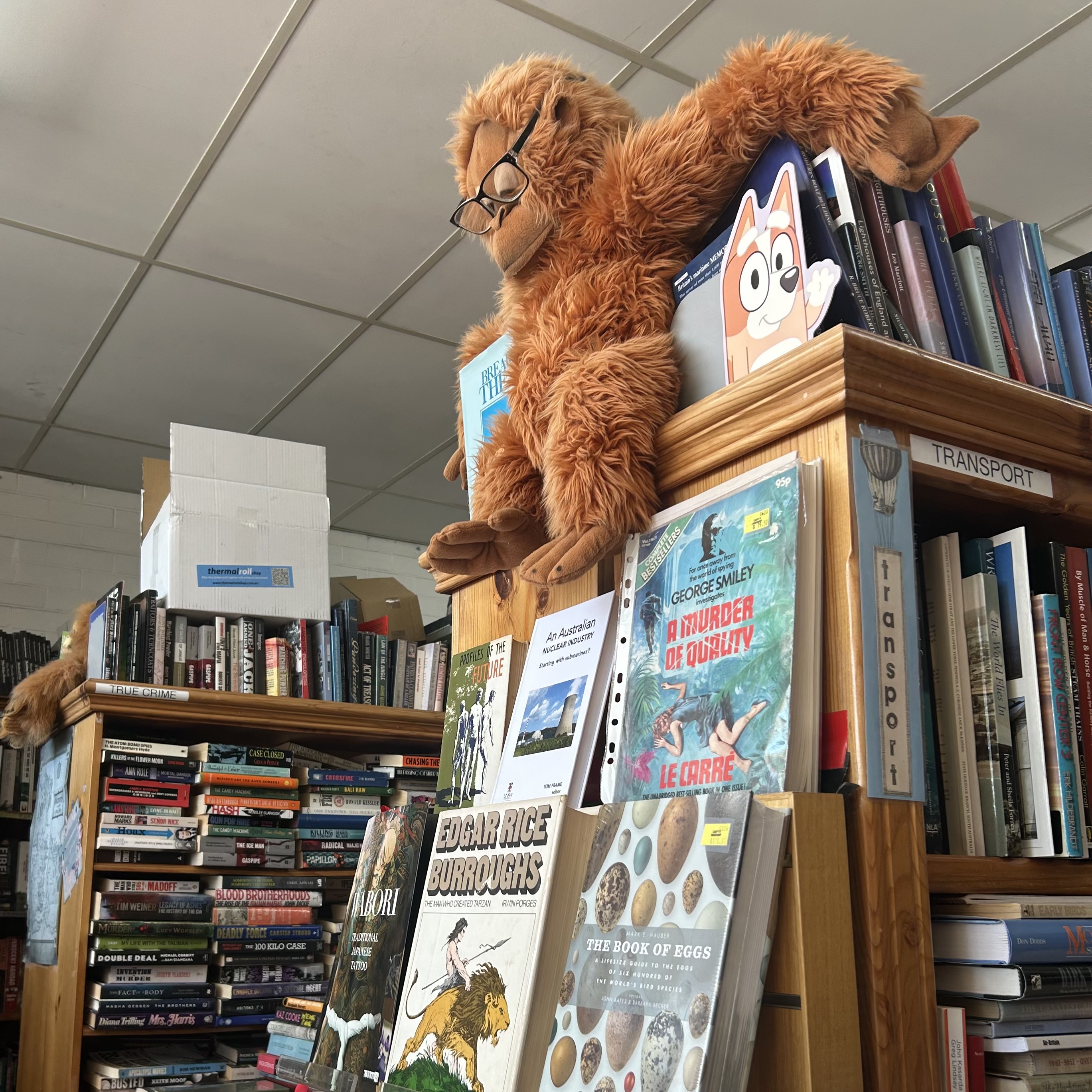 Survival of secondhand books: Q&A with Canty’s Bookshop